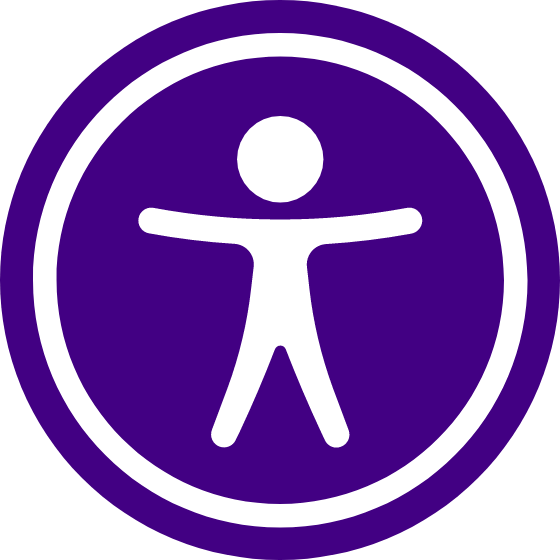 All In One Accessibility Pro