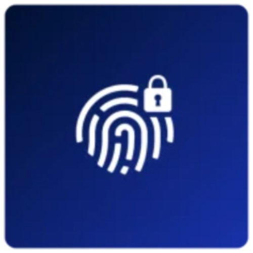 Copyright Protection - DMCA