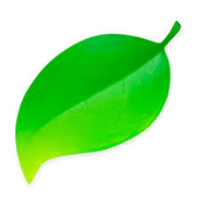 Coda